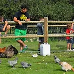 Campingplatz Tente En Toile Et Bois Avec Terrasse Pour 4 Personnes - Api-1-52-1471