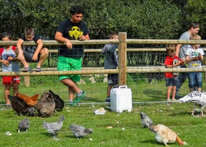 营地 Tente En Toile Et Bois Avec Terrasse Pour 4 Personnes - Api-1-52-1471