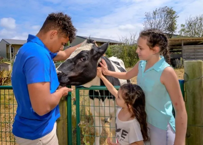 Tente En Toile Et Bois Avec Terrasse Pour 4 Personnes - Api-1-52-1471 圣玛丽-迪蒙